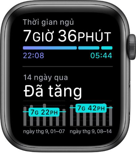 Theo dAi thAng tin sac khae quan trang vai Apple Watch